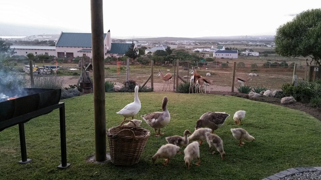The Stables Accommodation Langebaan Room photo