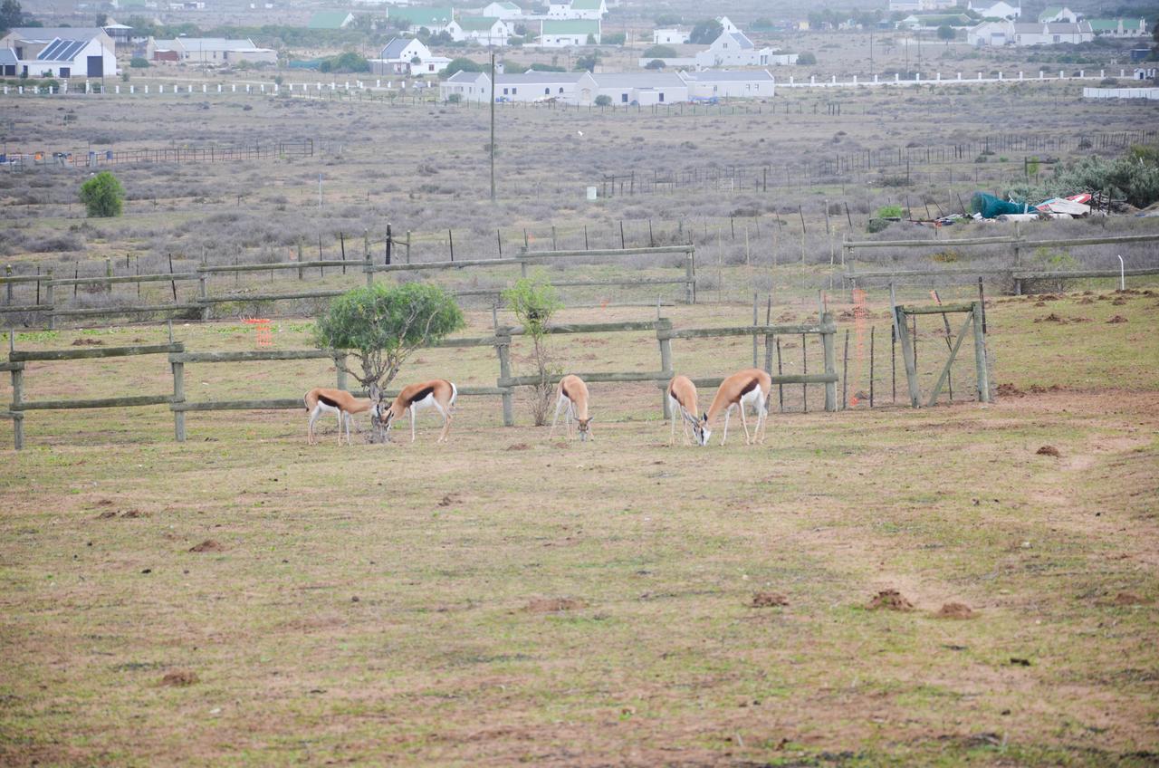 The Stables Accommodation Langebaan Exterior photo